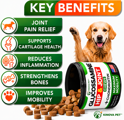 KINOVA PET™ Advanced Hip & Joint Chews for Dogs