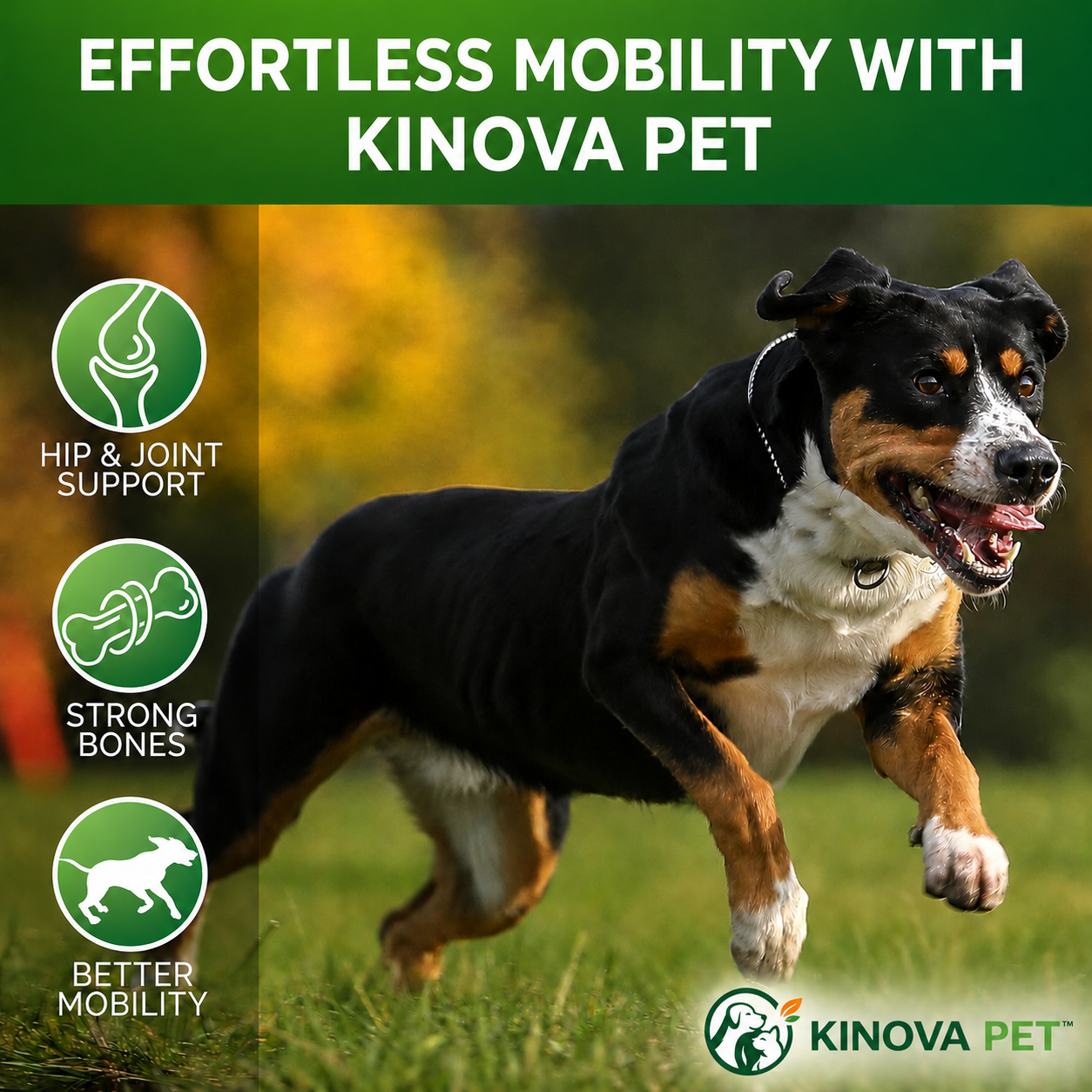 KINOVA PET™ Advanced Hip & Joint Chews for Dogs