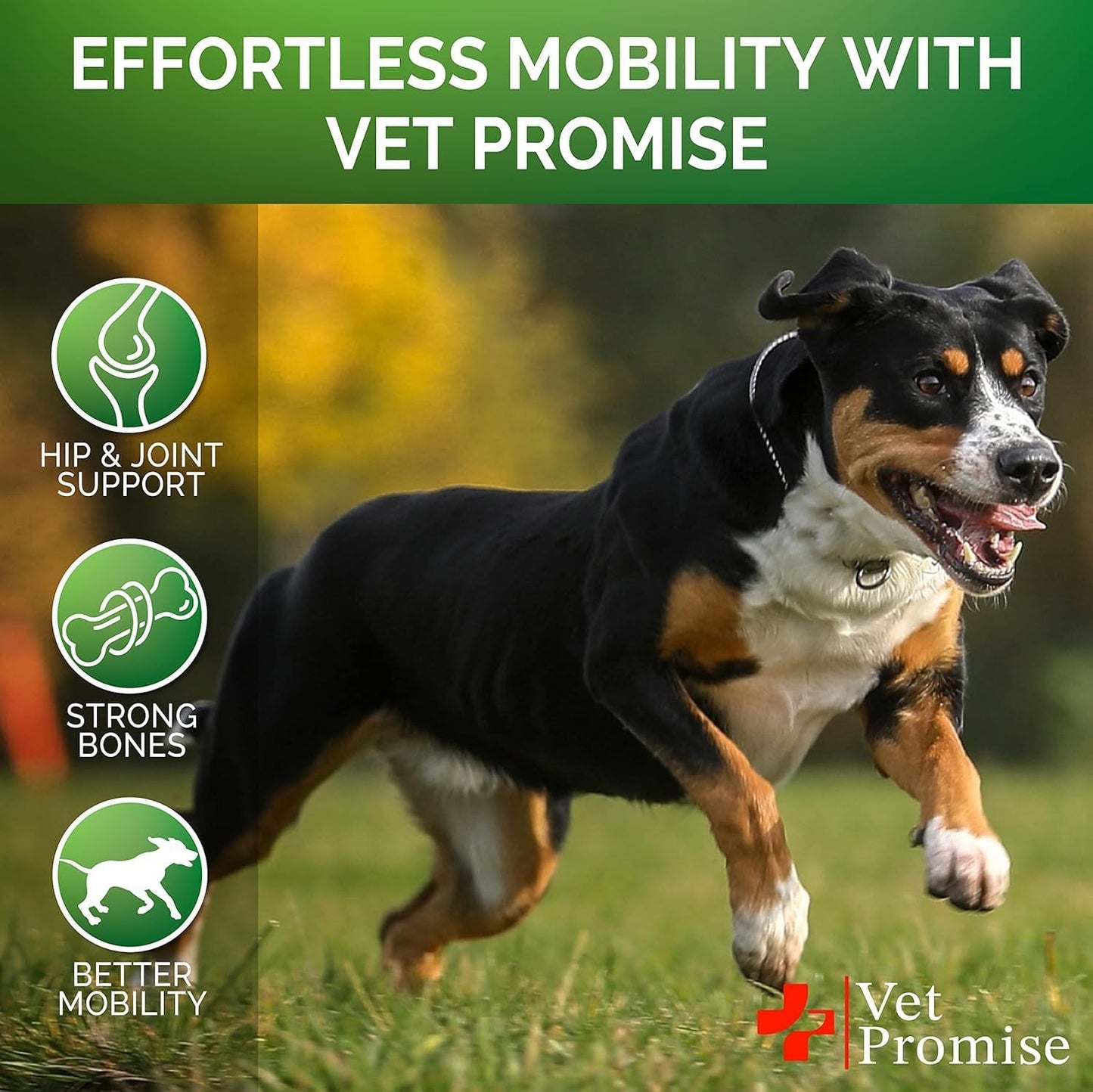KINOVA PET™ Hip & Joint Chews for Dogs